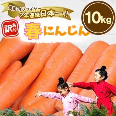 熊本県産 春にんじん(訳あり)10kg まゆみ農園