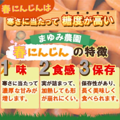 熊本県産 春にんじん(訳あり)10kg まゆみ農園