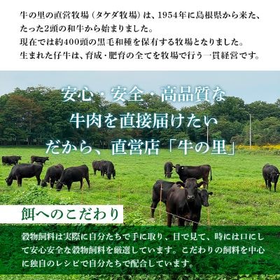 牛の里ビーフハンバーグ【110g×8個】特製ソース【8袋】の詰合せ
