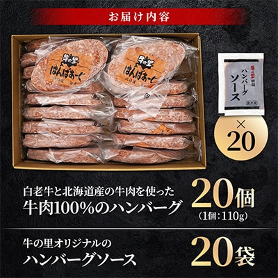 牛の里ビーフハンバーグ【110g×20個】特製ソースの詰合せ