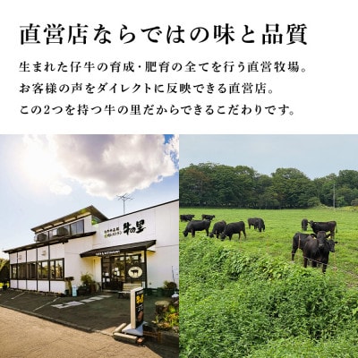 牛の里ビーフハンバーグ【110g×20個】
