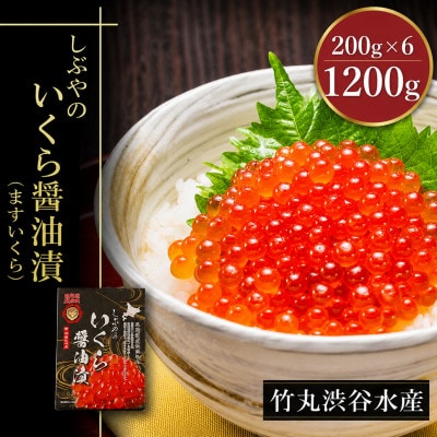北海道小分けしぶやの鱒イクラ醤油漬1.2kg(200g×6)
