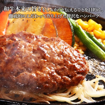 白老牛プレミアムステーキハンバーグセット