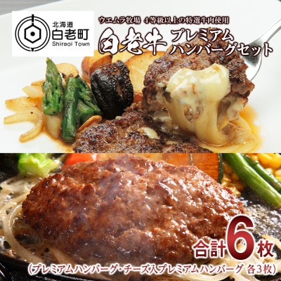 ウエムラ牧場の白老牛 プレミアムステーキハンバーグセット