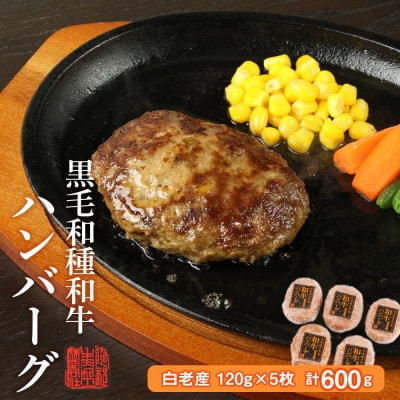 黒毛和種和牛ハンバーグ(白老産)　120g×5枚　計600g