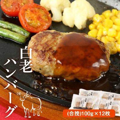 白老ハンバーグ(合挽)100g×12枚