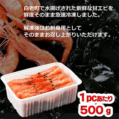【刺身用】 甘えび 約1.5kg (約500g×3) 北海道 白老町産 急速冷凍