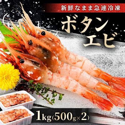 鮮度バツグン!プリプリボタンエビ1kg(500g×2パック)!!