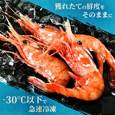 鮮度バツグン!プリプリボタンエビ1kg(500g×2パック)!!