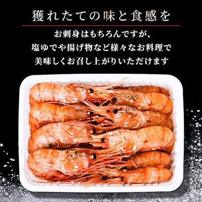 鮮度バツグン!プリプリボタンエビ1kg(500g×2パック)!!