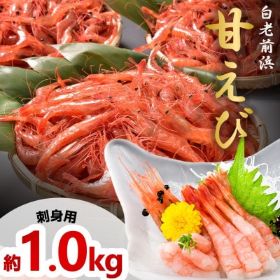 【先行受付】【刺身用】甘えび 約1.0kg(500g×2) 北海道白老町産 急速冷凍