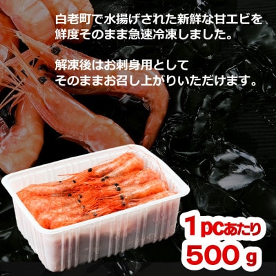 【先行受付】【刺身用】甘えび 約1.0kg(500g×2) 北海道白老町産 急速冷凍