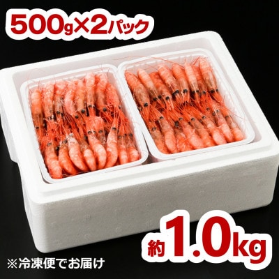 【先行受付】【刺身用】甘えび 約1.0kg(500g×2) 北海道白老町産 急速冷凍