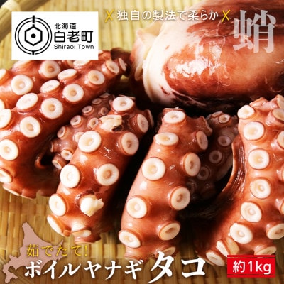 茹でたて!ボイルヤナギタコ　約1kg