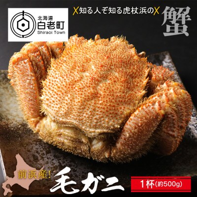 前浜産!毛ガニ　1杯(約500g)