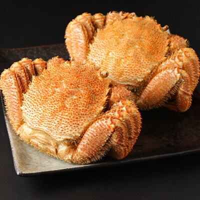 前浜産 毛ガニ 2杯 約900g お礼品詳細 ふるさと納税なら さとふる