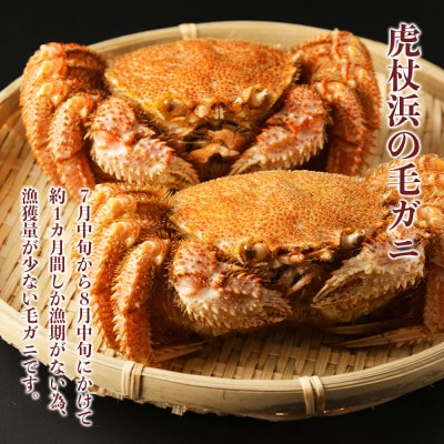 前浜産!毛ガニ　2杯(約900g)