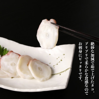 たこ足 ボイル 極太(約1.8kg)