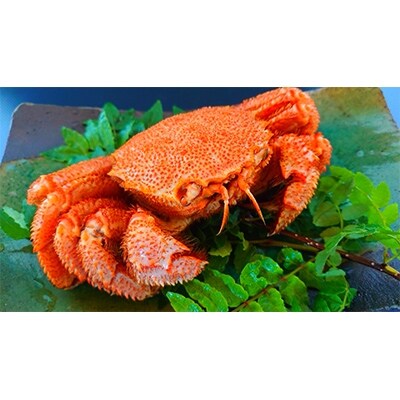 虎杖浜産毛蟹約600g・青なんばん明太子・鮭の切り身セット