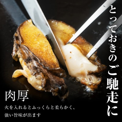 北海道 蝦夷あわび 大 90g～140g 3個 (加熱用)