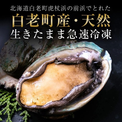 北海道 蝦夷あわび 大 90g～140g 3個 (加熱用)