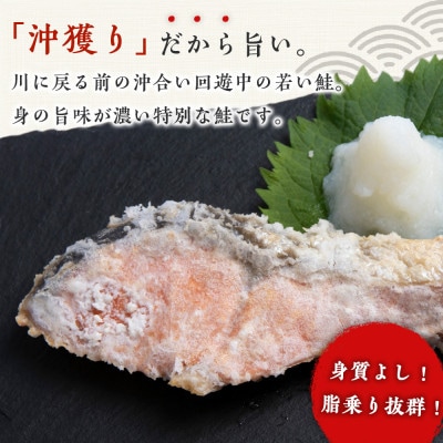 沖捕り辛塩紅鮭切身 3切×6パック