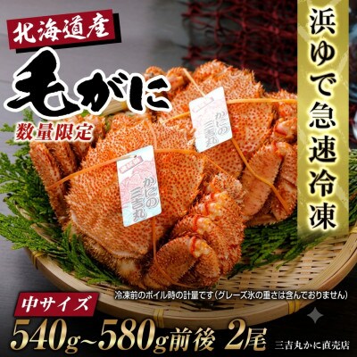 【浜ゆで自社タグ付】北海道産ボイル毛ガニ540g～580g前後×2尾