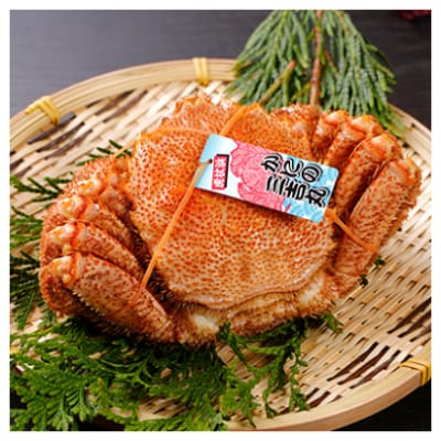 【浜ゆで】北海道産 冷凍ボイル毛ガニ (1尾620g~660g前後) 2尾