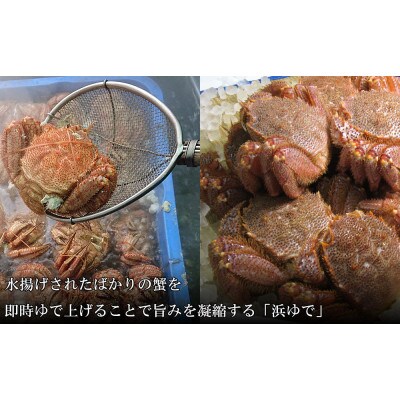 【浜ゆで】北海道産 冷凍ボイル毛ガニ (1尾700g～800g前後) 1尾