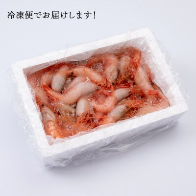 甘みにうっとり!冷凍甘エビ(300g×2箱)