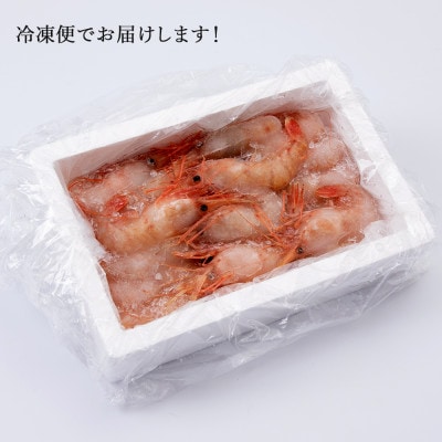 甘みたっぷり冷凍ボタンエビ(300g)