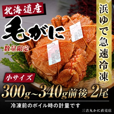 【浜ゆで自社タグ付】北海道産ボイル毛ガニ 300g～340g前後×2尾 冷凍