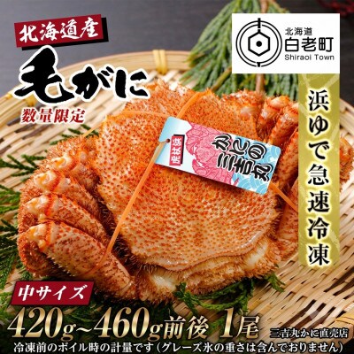 【浜ゆで自社タグ付】北海道産ボイル毛ガニ420g～460g前後×1尾 冷凍