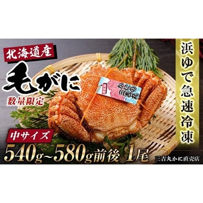 北海道産ボイル毛ガニ 540g～580g前後×1尾 冷凍