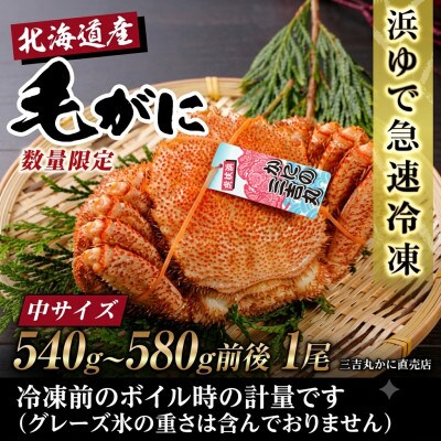 【浜ゆで自社タグ付】北海道産ボイル毛ガニ540g～580g前後×1尾