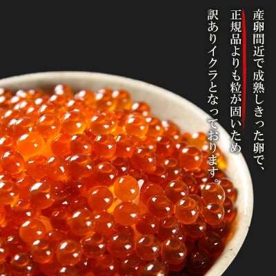 冷凍毛ガニ2尾(390g～400g前後)・訳ありイクラ100gセット 冷凍発送