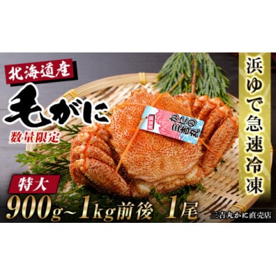 北海道産ボイル毛ガニ 900g～1000g前後×1尾 冷凍