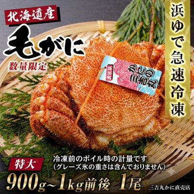 【浜ゆで自社タグ付】北海道産ボイル毛ガニ900g～1000g前後×1尾 冷凍