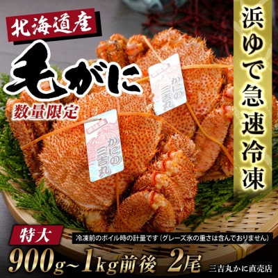 【浜ゆで自社タグ付】北海道産ボイル毛ガニ900g～1000g前後×2尾 冷凍