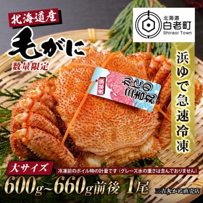 【浜ゆで自社タグ付】北海道産ボイル毛ガニ600g～660g前後×1尾