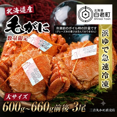 【浜ゆで自社タグ付】北海道産ボイル毛ガニ600g～660g前後×3尾