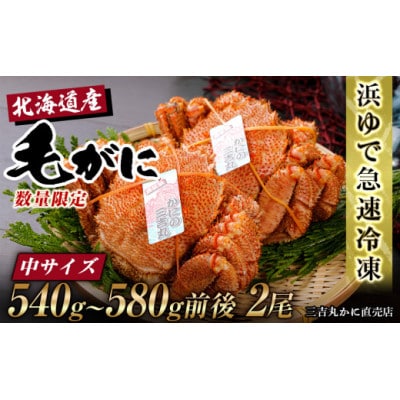 北海道産ボイル毛ガニ 540g～580g前後×2尾 冷凍
