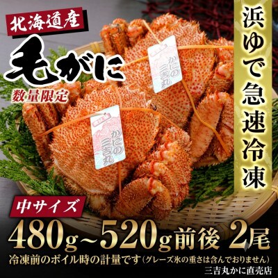【浜ゆで自社タグ付】北海道産ボイル毛ガニ480g～520g前後×2尾 冷凍