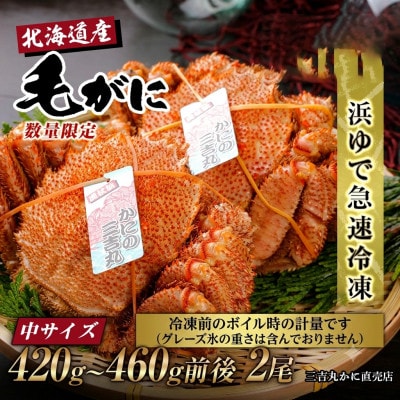 【浜ゆで自社タグ付】北海道産ボイル毛ガニ420g～460g前後×2尾 冷凍