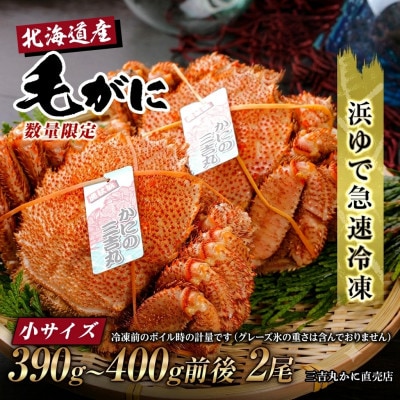 【浜ゆで自社タグ付】北海道産ボイル毛ガニ390g～400g前後×2尾