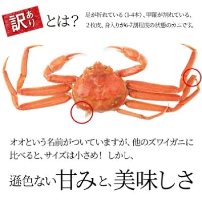 ゆでたて冷蔵便 8尾から15尾で2kg 訳あり オオズワイガニ(オス・メスおまかせ)