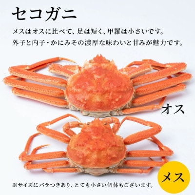 ゆでたて冷蔵便 16尾から30尾で4kg 訳あり オオズワイガニ(オス・メスおまかせ)