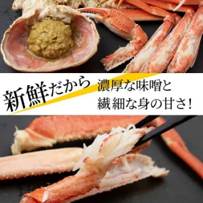 ゆでたて冷蔵便 24尾から45尾で6kg 訳あり オオズワイガニ(オス・メスおまかせ)