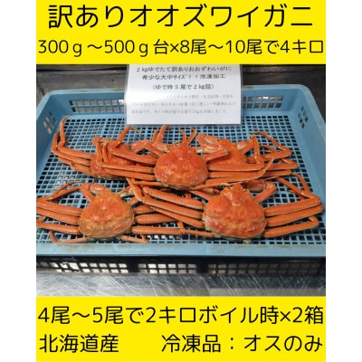 訳ありオオズワイガニ　8尾から10尾入で4kg　冷凍便