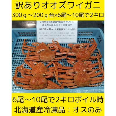大中サイズ訳ありおおずわい　6尾～10尾入で2kg　冷凍便